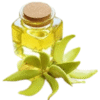 Pure Ylang Ylang Essential Oil – OrganicsbyJumira