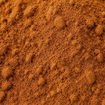 Cinnamon powder natural botanical ingredient for skincare