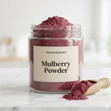 Mulberry Powder botanical skincare ingredient for brightening and tone refinement.